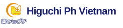 Higuchi